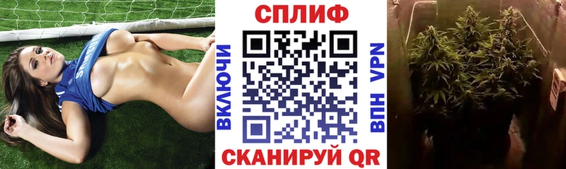Канабис конопля  Кущёвская 